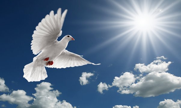 What are the main differences between the Eastern (Orthodox) and Western (Catholic) churches?