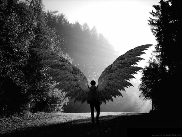 Where did the Angels come from in Heaven?