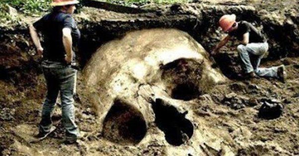 It is stated in Genesis that in those day there were giants in the land and the giants had children with the daughter of man, where did these giants come from and were did they go, and what happen to the children?