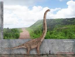 It is stated in Genesis that in those day there were giants in the land and the giants had children with the daughter of man, where did these giants come from and were did they go, and what happen to the children?