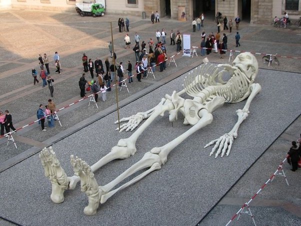 It is stated in Genesis that in those day there were giants in the land and the giants had children with the daughter of man, where did these giants come from and were did they go, and what happen to the children?