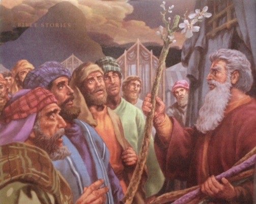 Has the Ark of the Covenant been found?