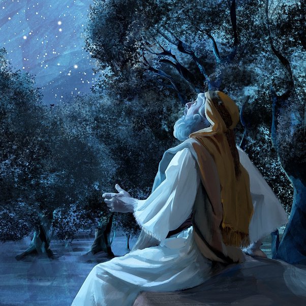 What is the big picture of the Abrahamic covenant (the ritual and all)?